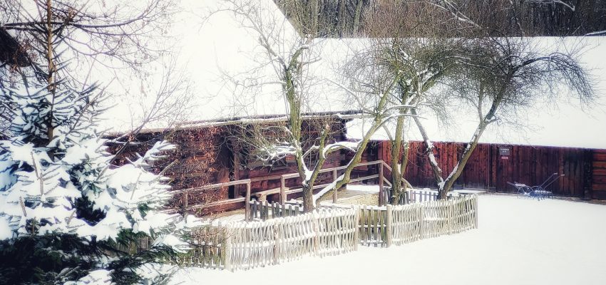 Godziny otwarcia Muzeum w okresie świąteczno – noworocznym