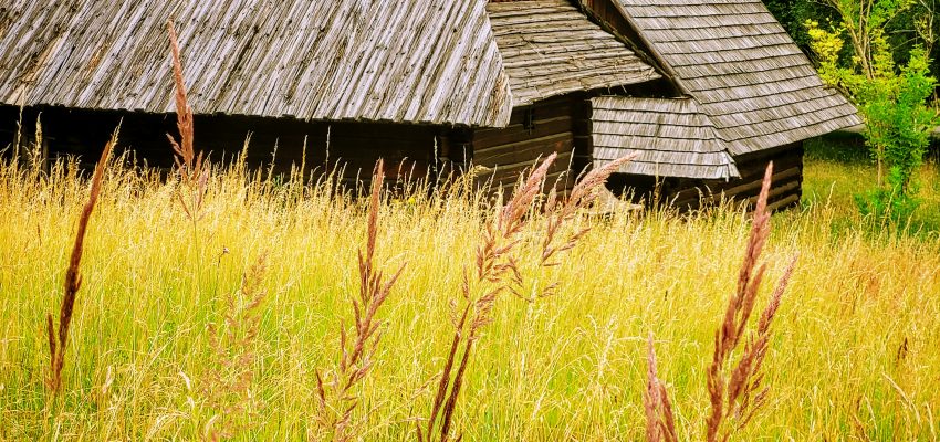 ETNOWAKACJE 2025 – Lato pełne tradycji i twórczej zabawy