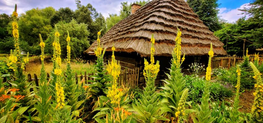 Ogłaszamy konkurs na STRACHA NA WRÓBLE!