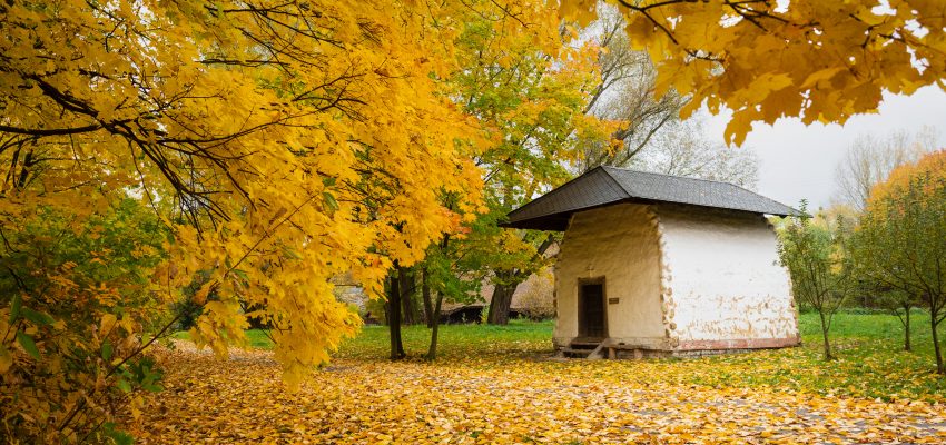 17.X Dzień Niematerialnego Dziedzictwa Kulturowego w chorzowskim skansenie