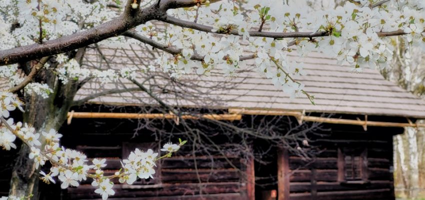 Czy góral musi być pasterzem? Czy pasterz musi być góralem?