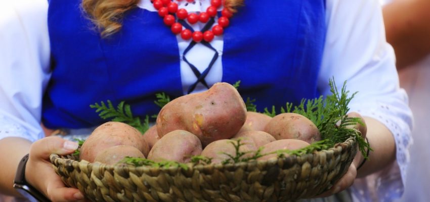 Dzien Kartofla w chorzowskim skansenie – 20 września!