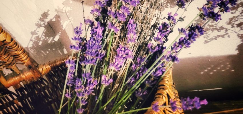 Lawendowe cukier i sól oraz jesienne herbaty – zrób to sam! Już 23 listopada (niedziela), godz. 12:00