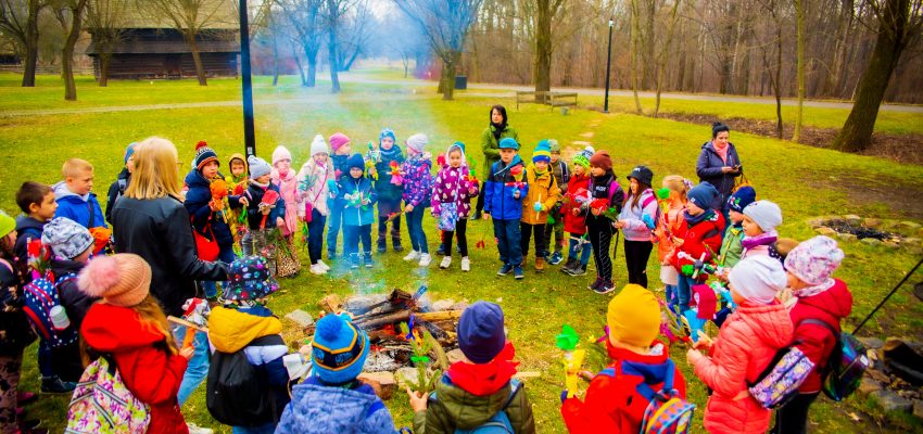 Oferta edukacyjna dla szkół