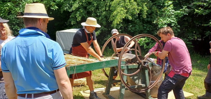 Warsztaty tynkowania gliną i wykonywania polepy – 15-18 czerwca