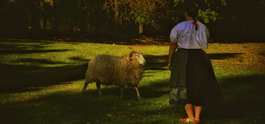 Warsztaty pieśni Trójwsi Beskidzkiej