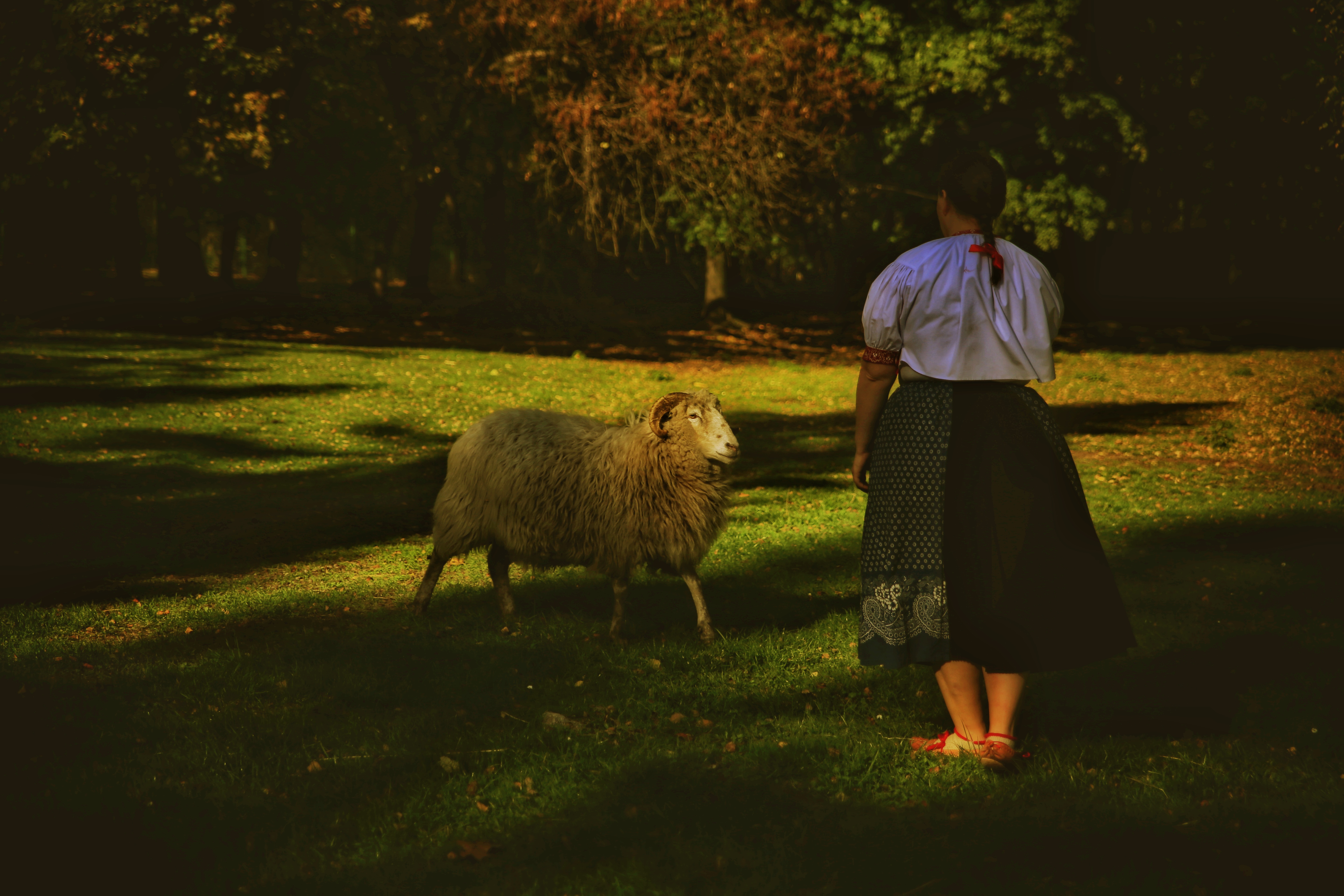 kobieta stojąca tyłem, w góralskim stroju, przed nią owca