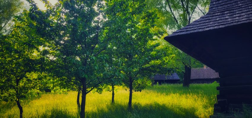 Ogłoszenie o naborze na wolne stanowisko: Księgowa/y