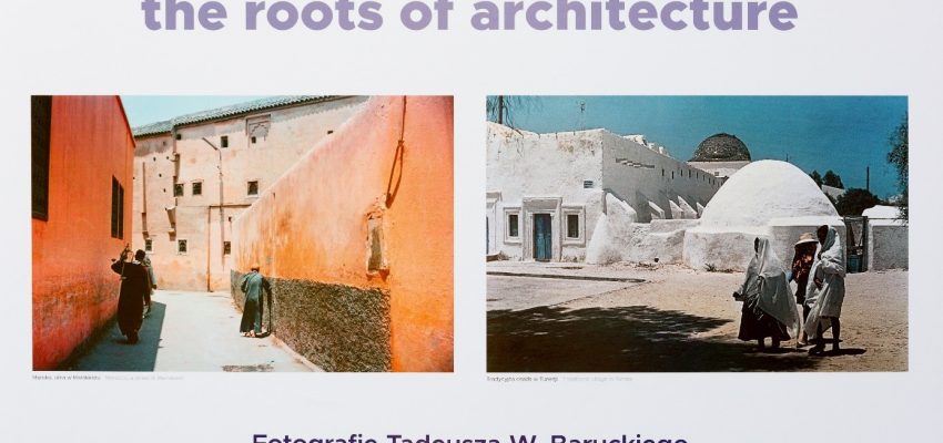 Korzenie architektury – nowa wystawa w Muzeum